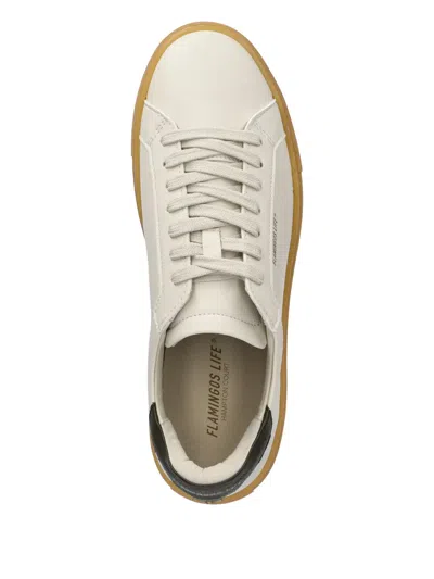 Flamingos Leather Sneakers