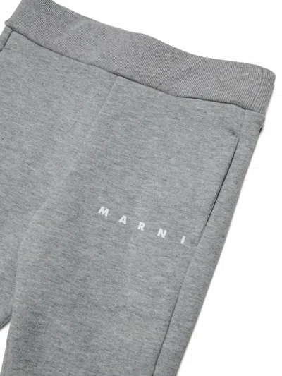 Marni Logo-print Track Pants In Gray