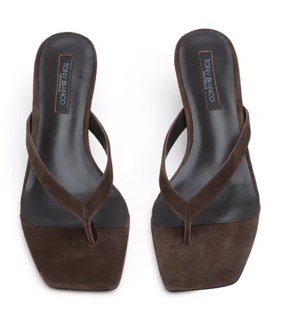 Tony Bianco Topaz Espresso Suede