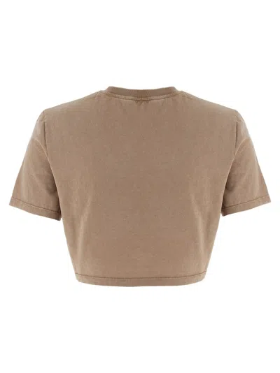 Fendi Beige Cotton Logo Crop T-shirt In Brown