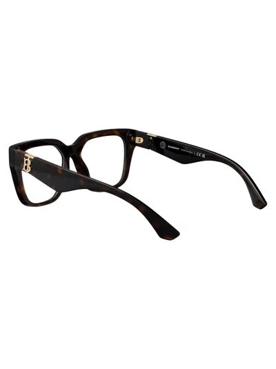 Burberry Dark Havana Acetate Glasses In Black