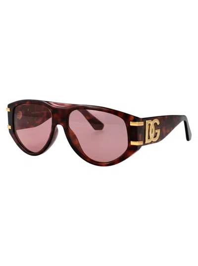 Dolce & Gabbana Dg Griffe Sunglasses In Brown