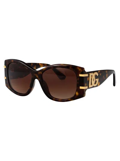 Dolce & Gabbana Sunglasses