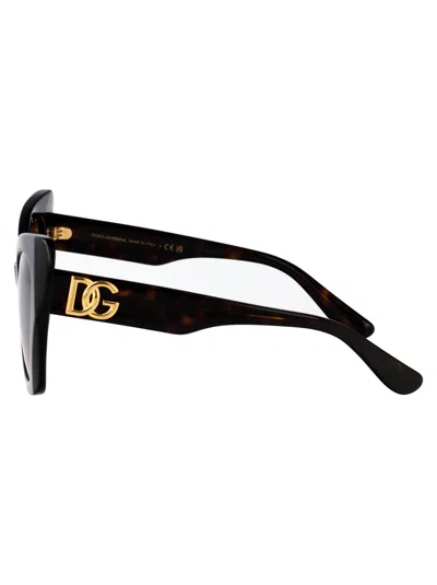 Dolce & Gabbana Havana Acetate Sunglasses