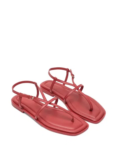 A.emery Leather Flat Sandals
