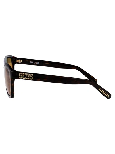 Gcds Avana Scura  / Roviex Acetate Sunglasses In Brown