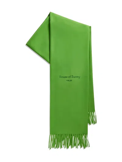 House Of Sunny Fringed Scarf In Green