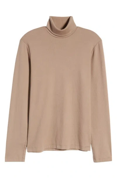 Ag Canon Cotton Turtleneck