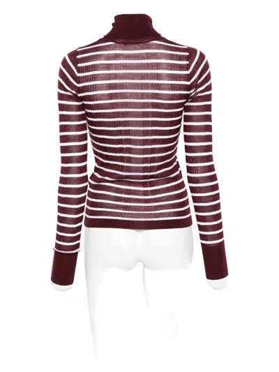 Alysi Striped Turtleneck Top In Brown