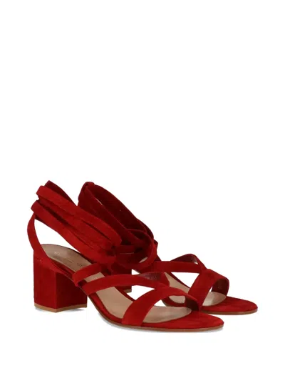 Gianvito Rossi Janis Lace-up Block-heel Sandals