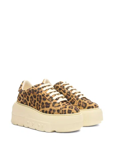 Casadei Sneaker Malesia In Brown