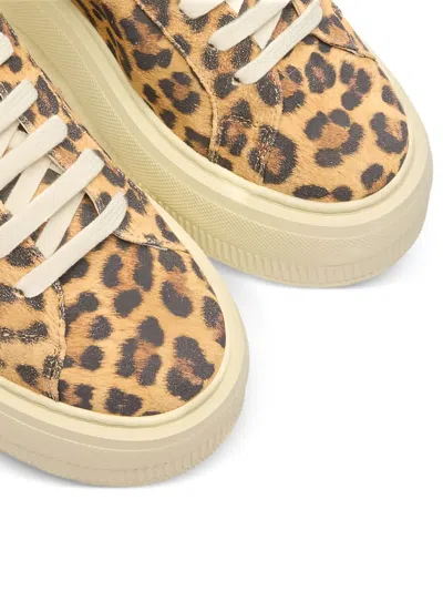 Casadei Sneaker Malesia In Brown