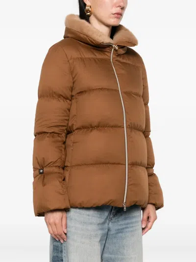 Herno Quilted Fur-trimmed Jacket In Brown