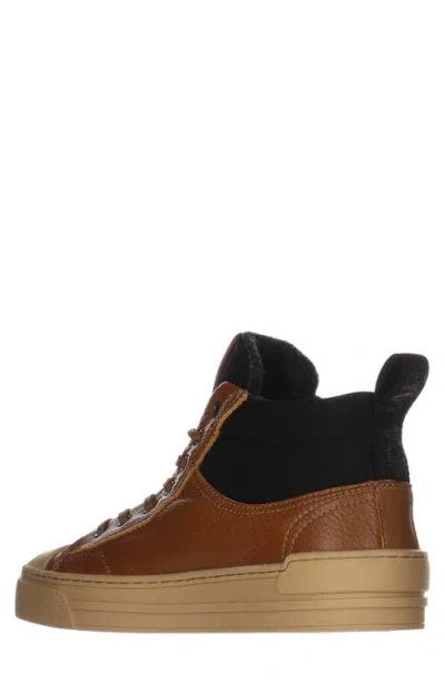 Pajar Tray Wool Lined Mid Top Sneaker In Brown