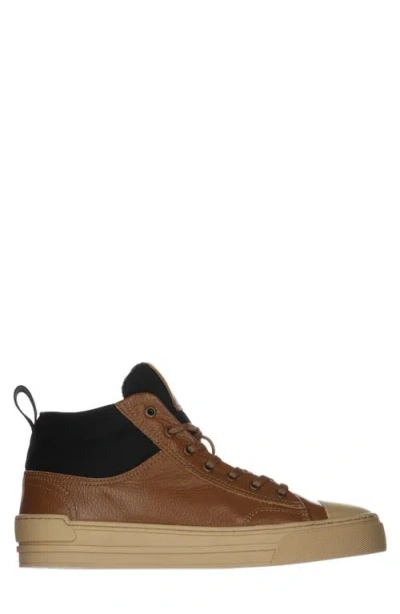 Pajar Tray Wool Lined Mid Top Sneaker In Brown