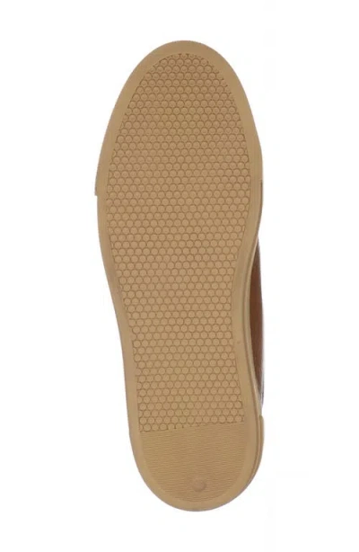 Pajar Tray Wool Lined Mid Top Sneaker In Brown