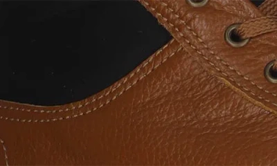Pajar Tray Wool Lined Mid Top Sneaker In Brown
