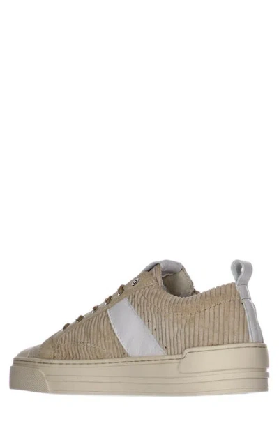 Pajar Tholsen Sneaker In Multi