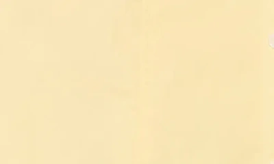Derek Lam 10 Crosby Elyse Cotton Poplin Shirtdress In Yellow