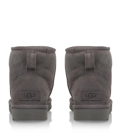 Shop Ugg Classic Mini Ii Suede Boot