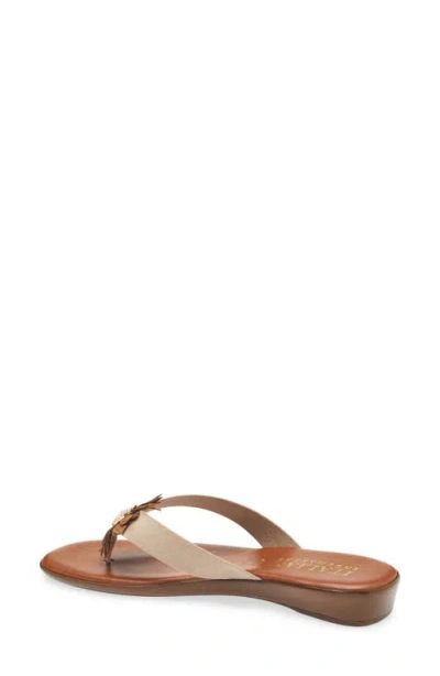 Italian Shoemakers Olaina Flower Sandal In Brown
