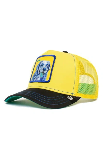 Goorin Bros . Doggy Trip Patch Trucker Hat