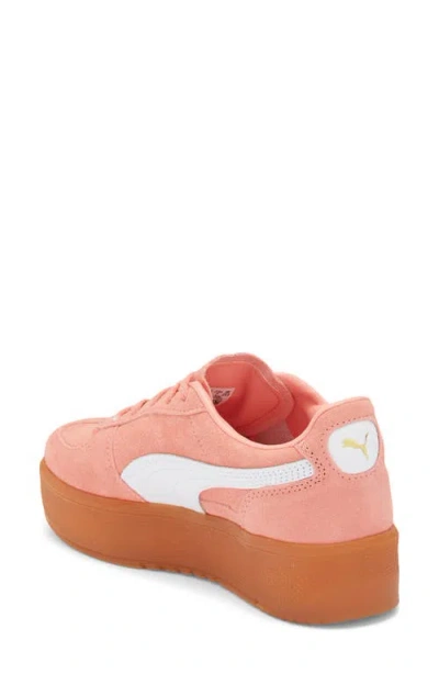 Puma Palermo Elevata Platform Sneaker