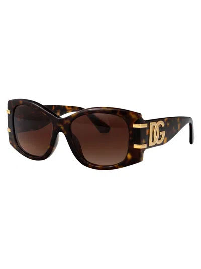 Dolce & Gabbana Sunglasses