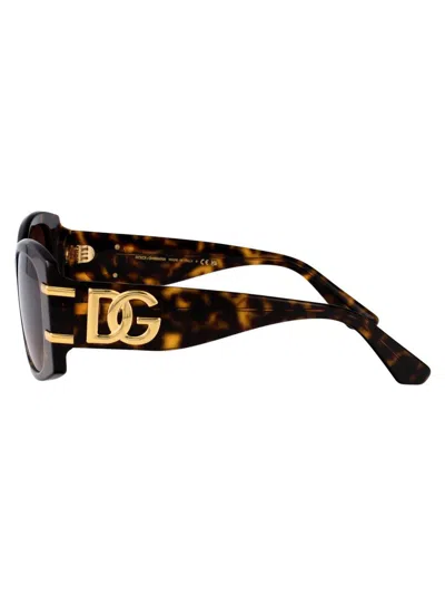 Dolce & Gabbana Sunglasses