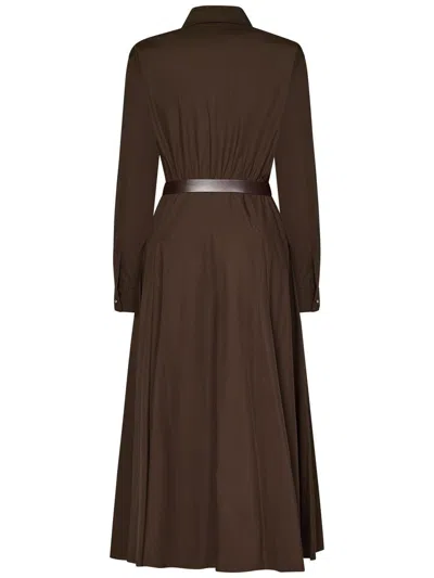 Max Mara Studio Dancing Midi Dress