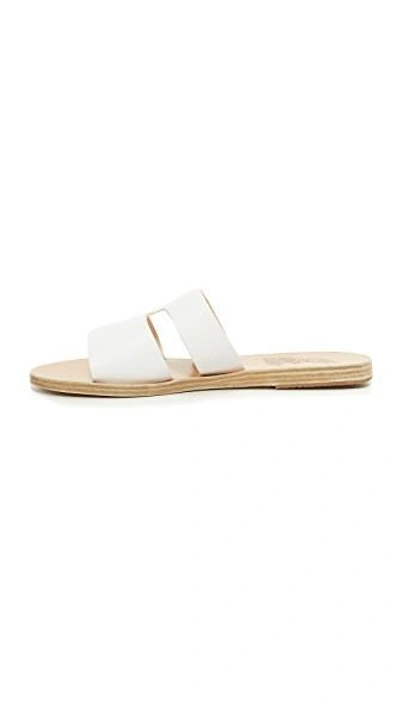 Shop Ancient Greek Sandals Apteros Slides In White