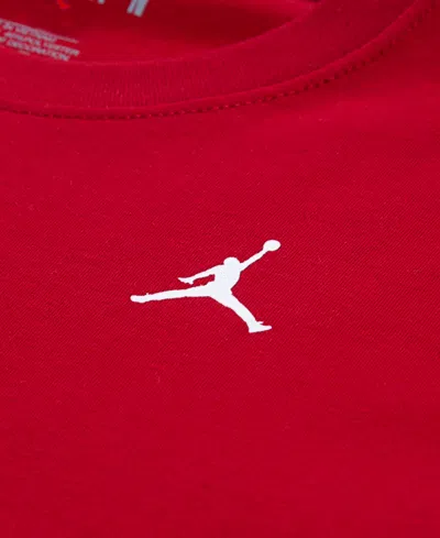 Jordan Toddler And Little Boys Jumpman Global Rise Long Sleeve T-shirt In Red