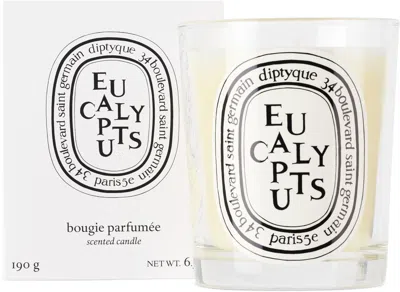 Diptyque Eucalylptus Classic Candle
