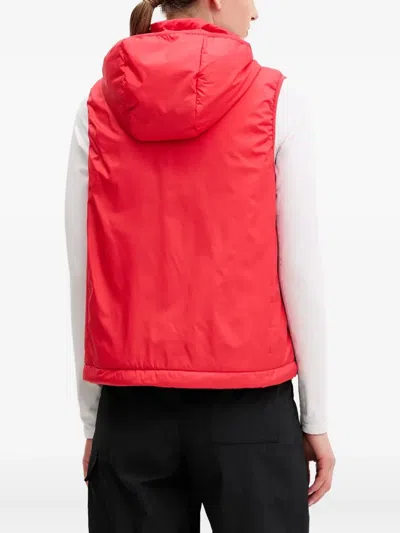 Adidas Originals Quilted Hooded Gilet In White