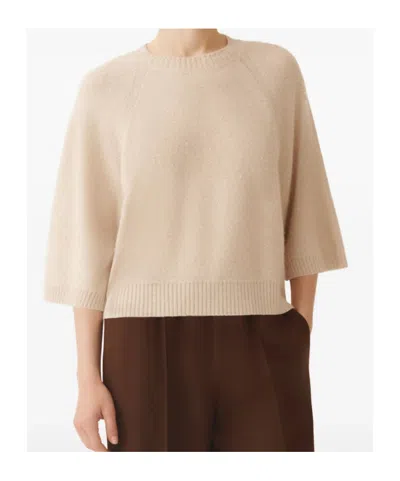 Fabiana Filippi Sequin-embellished Raglan-sleeve Jumper In Neutral