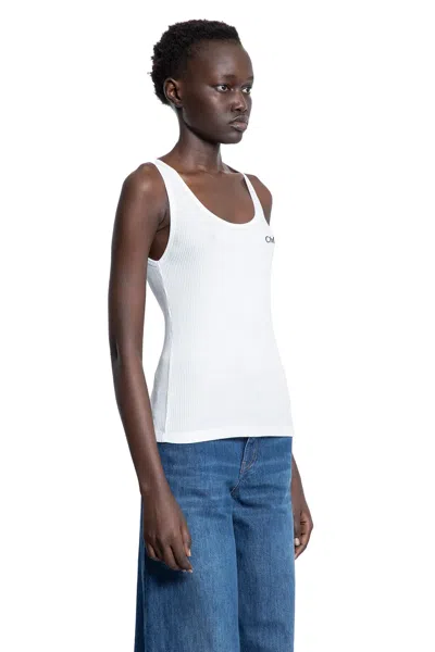Chloé Logo Ribbed Cotton Jersey Tank Top In White