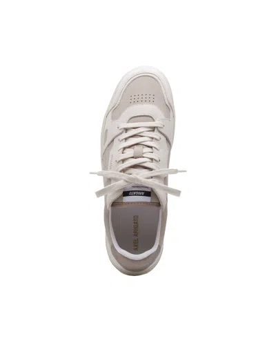 Axel Arigato Dice Lo Sneaker Sneakers In Taupe Leather In Neutral