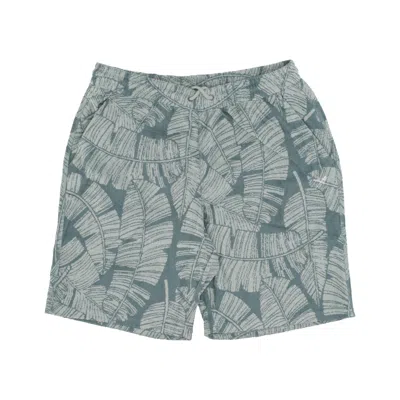 Iriedaily Bananos Short Men's Shorts Light Sage Green