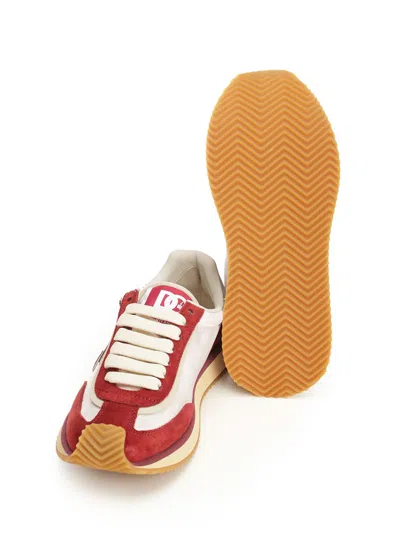 Dolce & Gabbana Sneaker Bassa Dragon+crosta+vi Bianco/bianco Sneakers Bordeaux