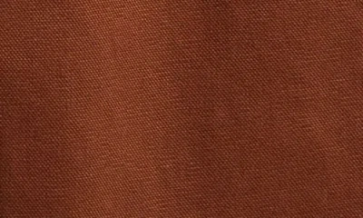 Vans Kids' Drill Chore Carpenter Pants In Brown