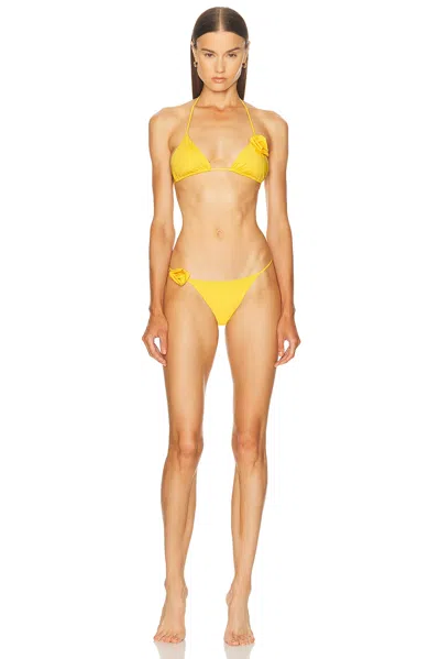 Maygel Coronel Gola Bikini Set