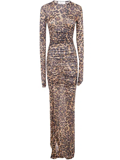 Blumarine Print Jersey Dress In Multi