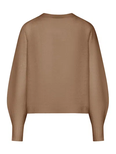 Max Mara Long Sleeve Sweater In Brown
