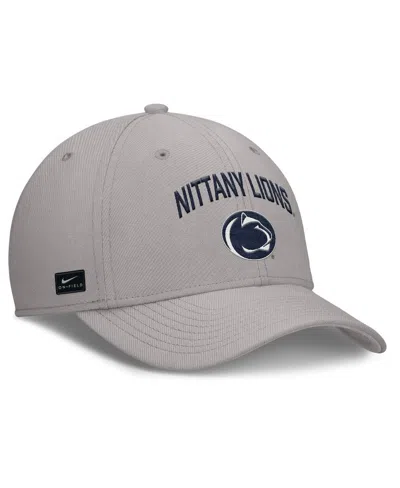 Nike Men's Gray Penn State Nittany Lions 2025 On-field Rise Performance Flex Hat