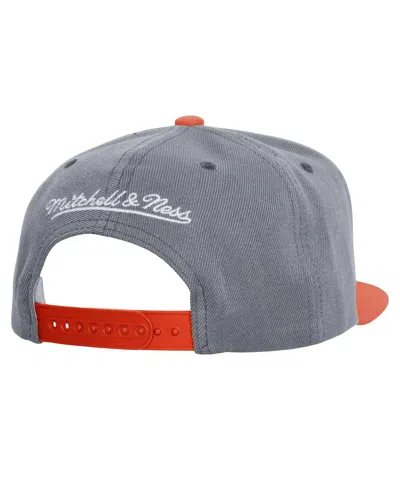 Mitchell & Ness Men's Gray Detroit Tigers Basic Flip Snapback Hat
