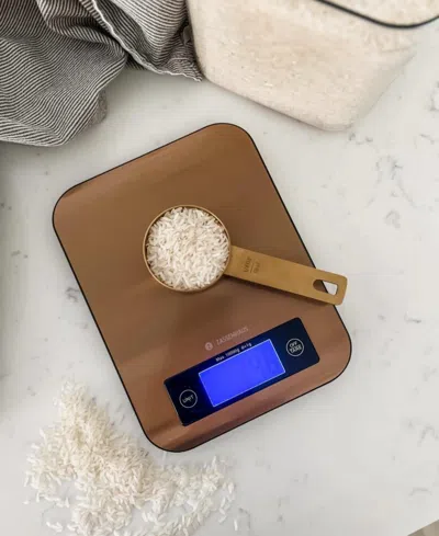 Frieling Pure Digital 9.3" Kitchen Scale