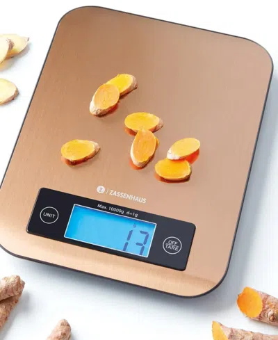 Frieling Pure Digital 9.3" Kitchen Scale