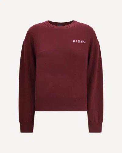 Pinko Wool And Cashmere Logo Sweater
