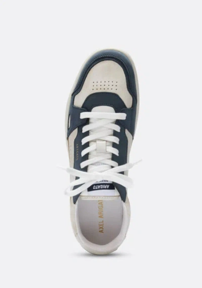Axel Arigato Dice Lo Beige Blue Sneaker In Neutral