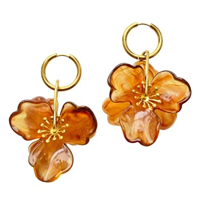 Smilla Brav Women's Gold / Brown Earrings Amber